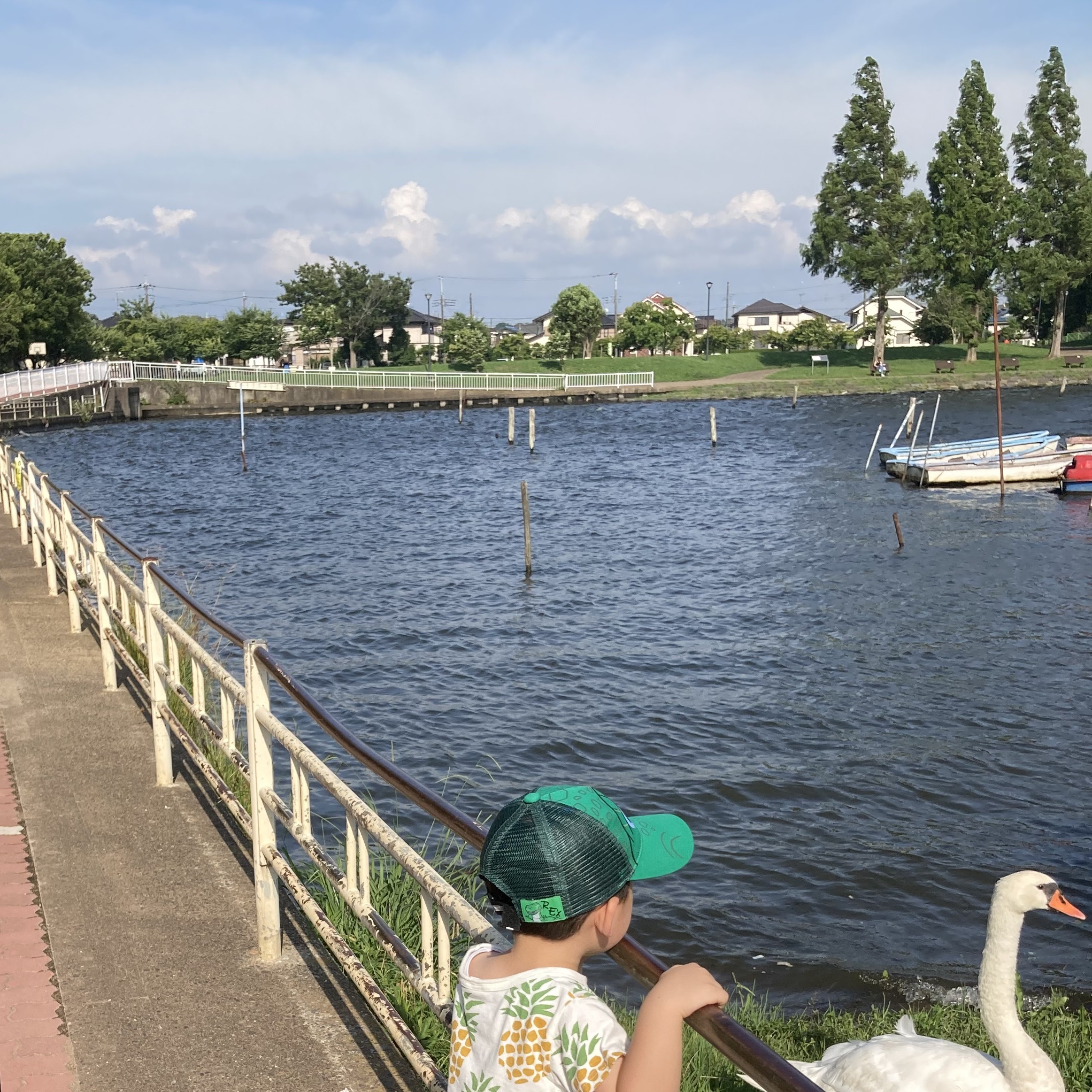 手賀沼公園 我孫子市 フリースクール 自然体験 1
