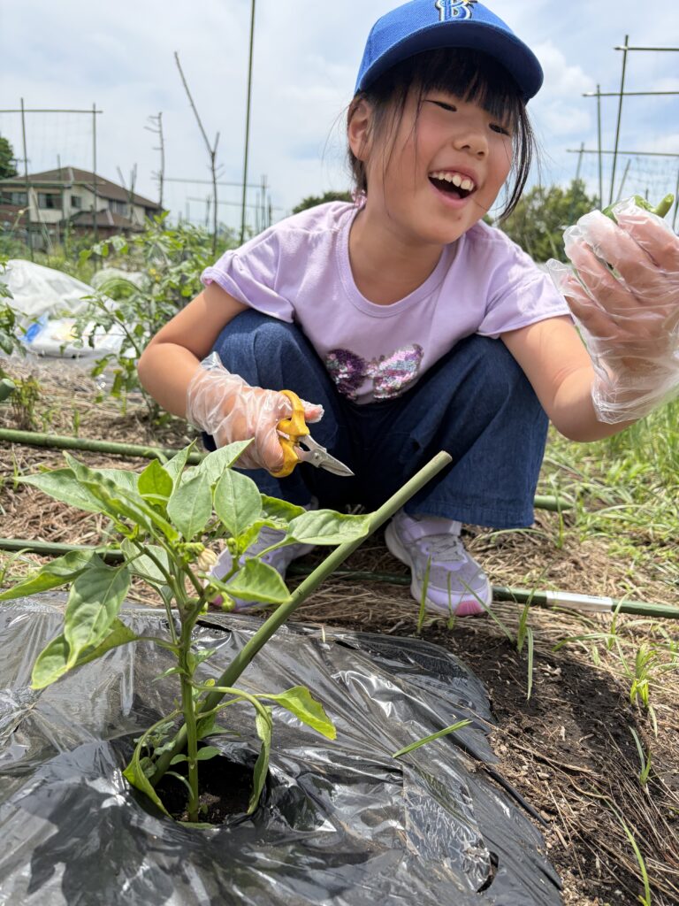 畑で初めての収穫！