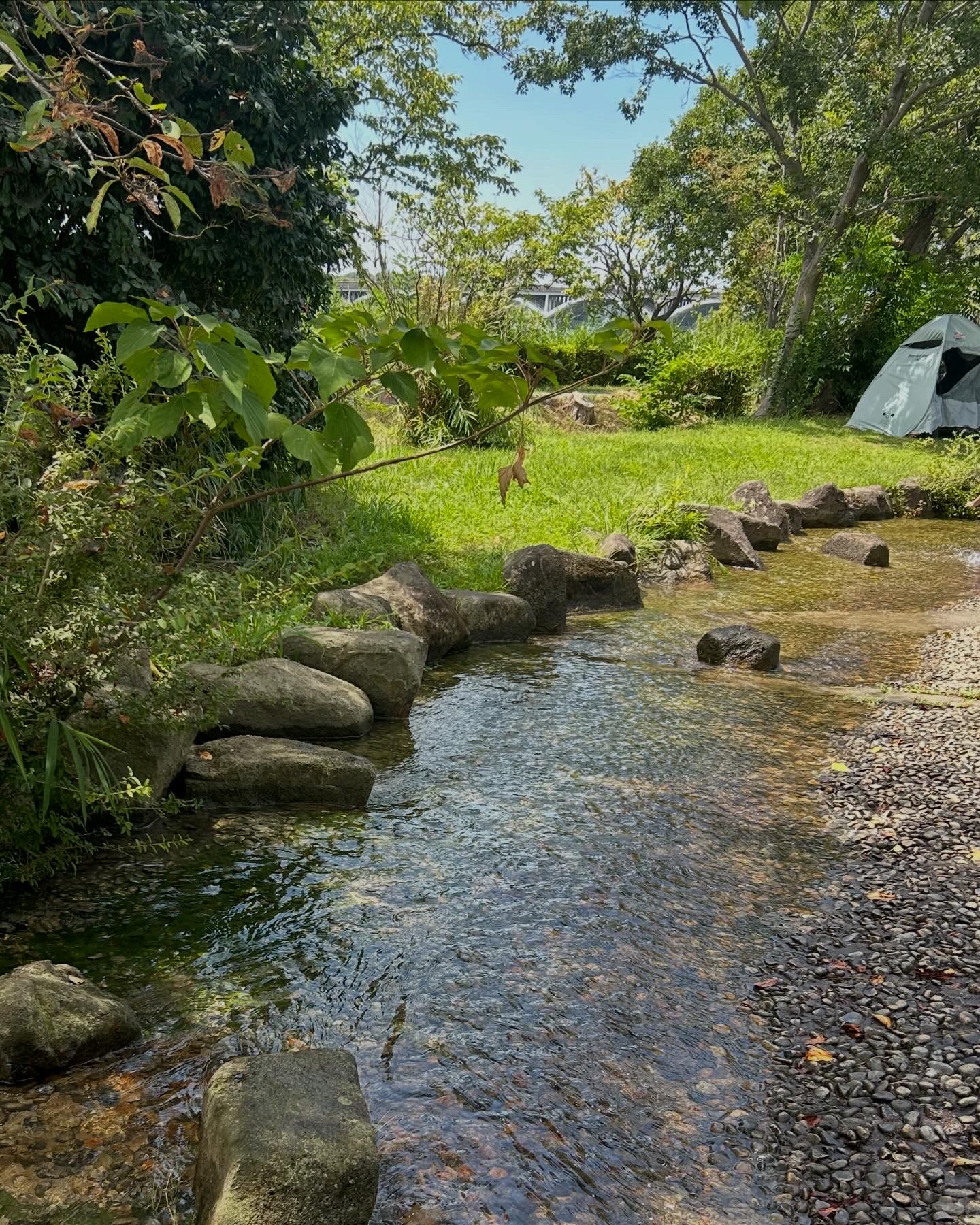 手賀沼公園 我孫子市 フリースクール 自然体験 4