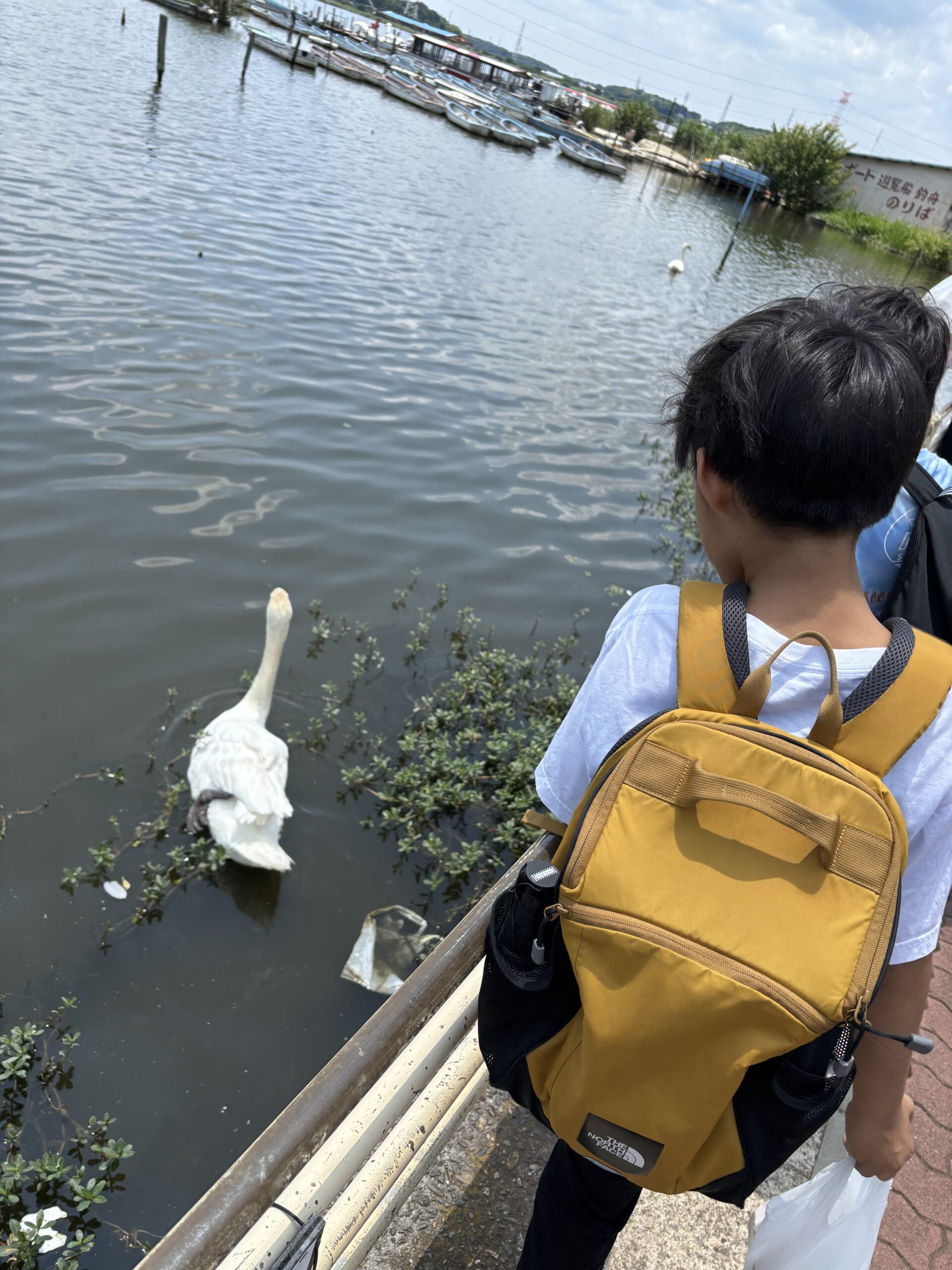 手賀沼公園 我孫子市 フリースクール 自然体験 3
