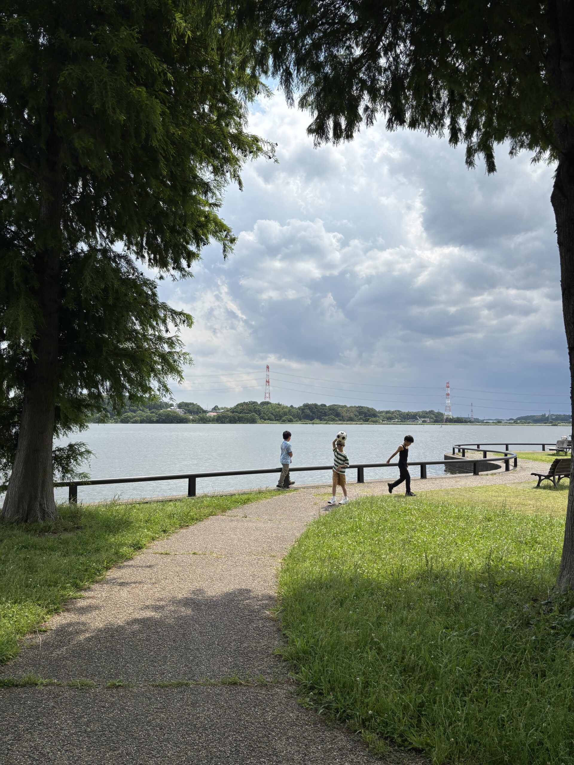 手賀沼公園 我孫子市 フリースクール 自然体験 2