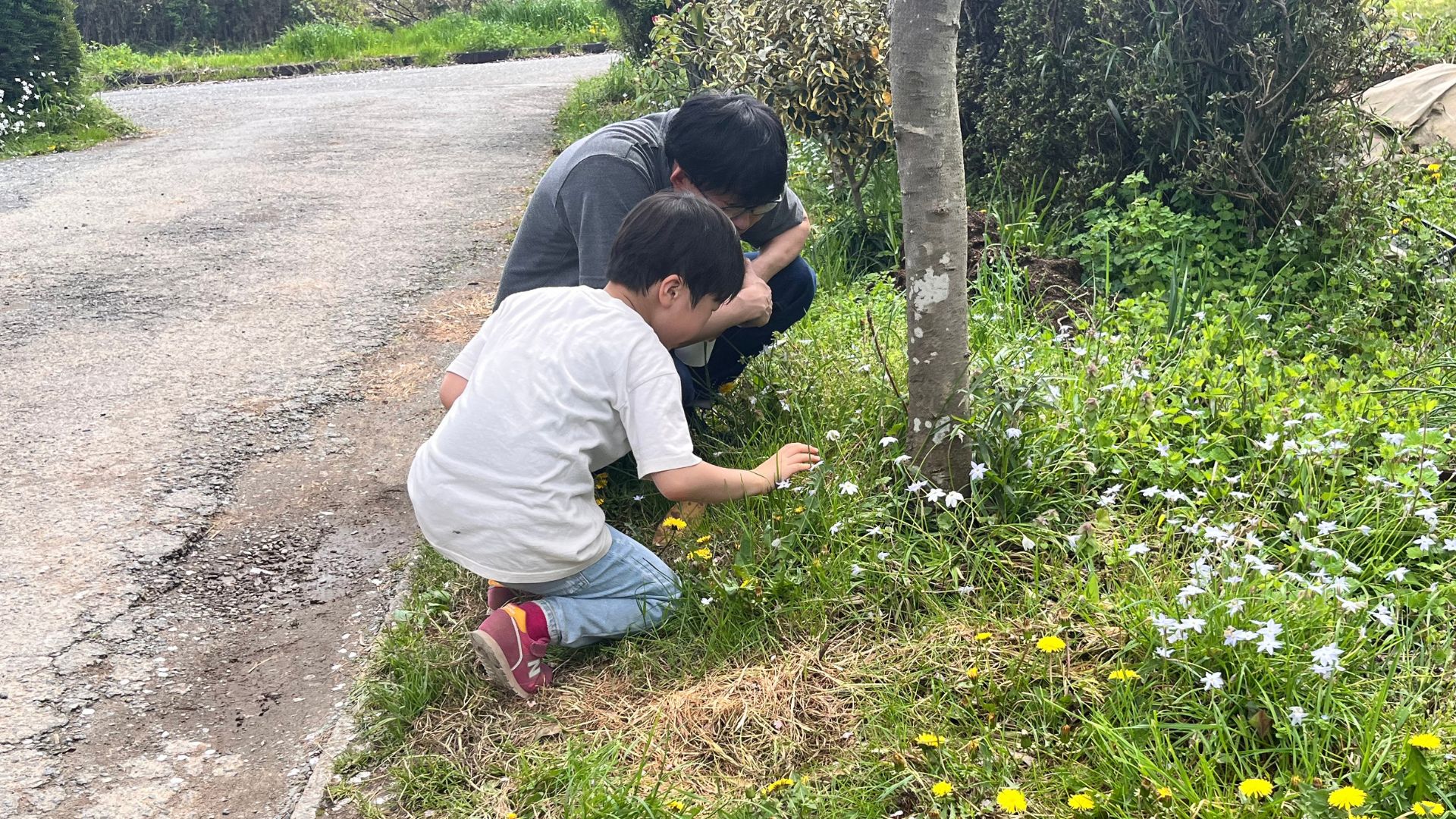 道ばたにしゃがんで草花をのぞきこむ子どもたち
