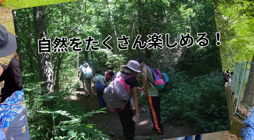 自然をたくさん楽しめる！