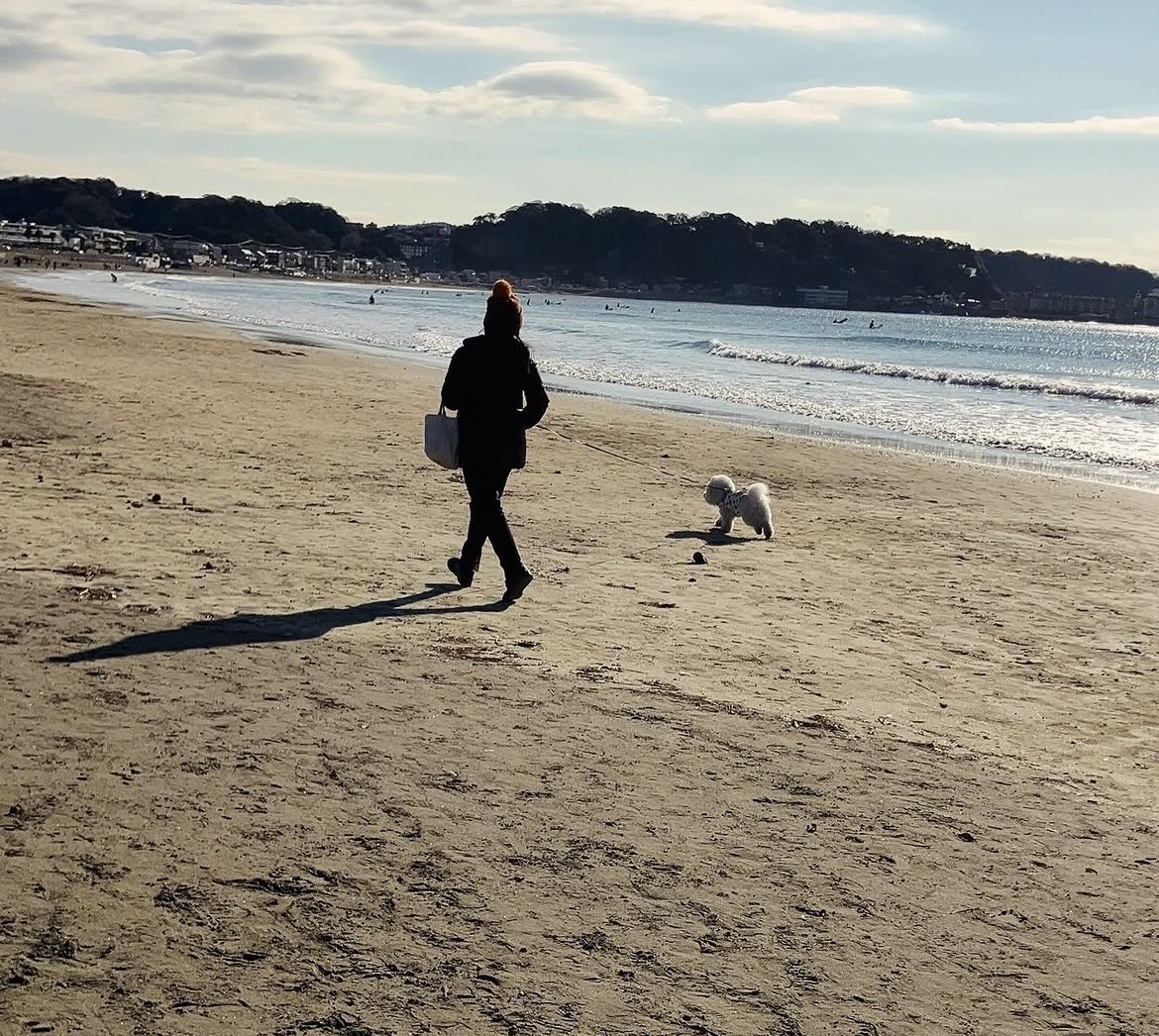 海辺を犬と歩く人