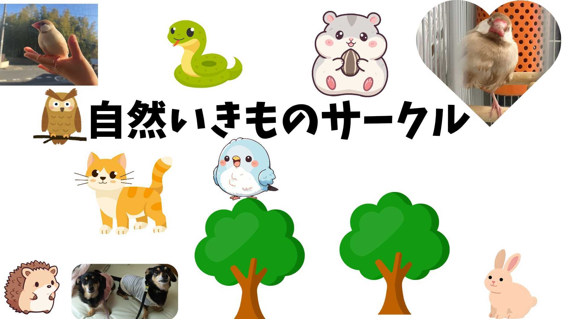 自然生き物サークル