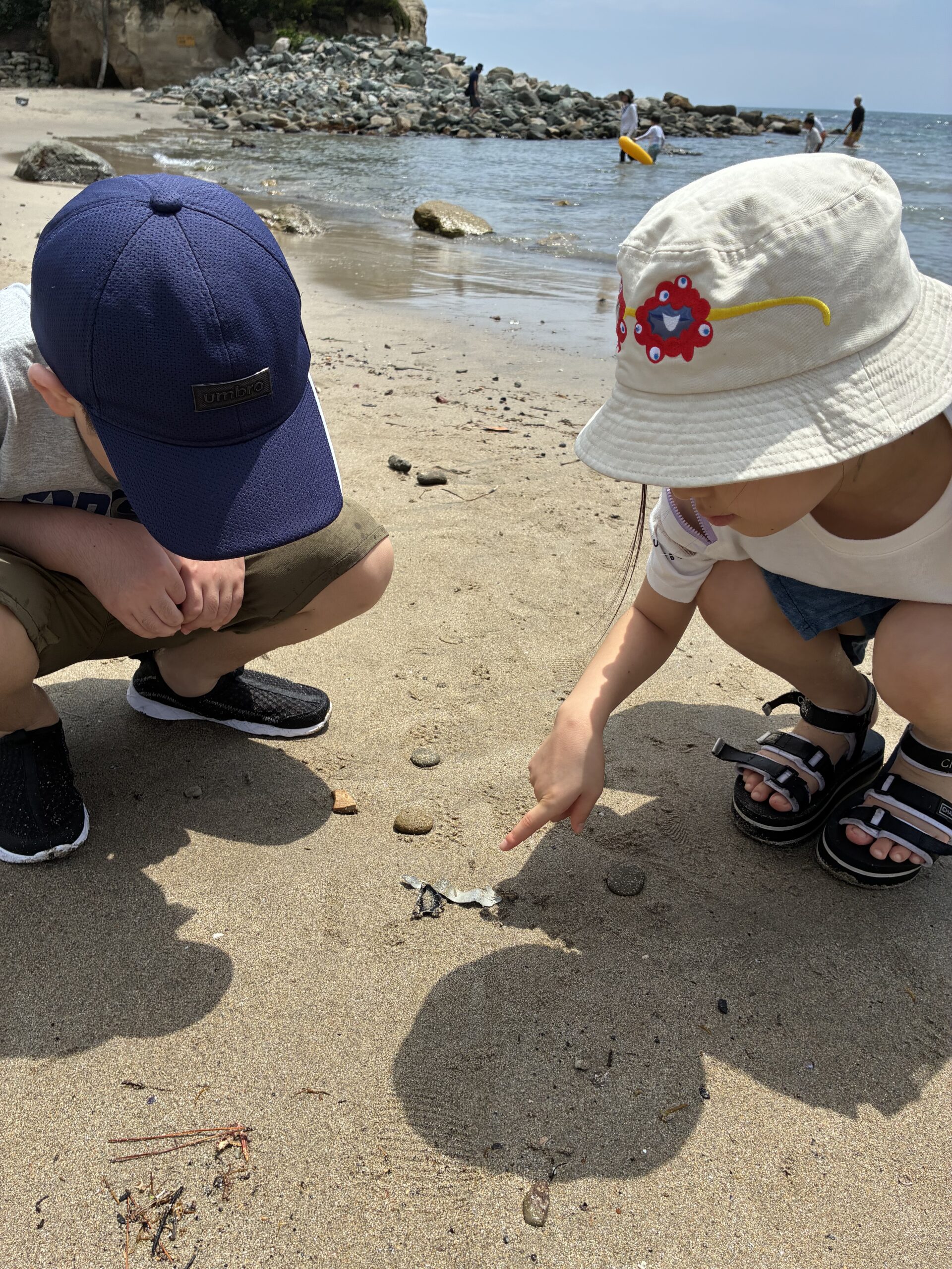 海辺で砂浜を観察する子どもたち
