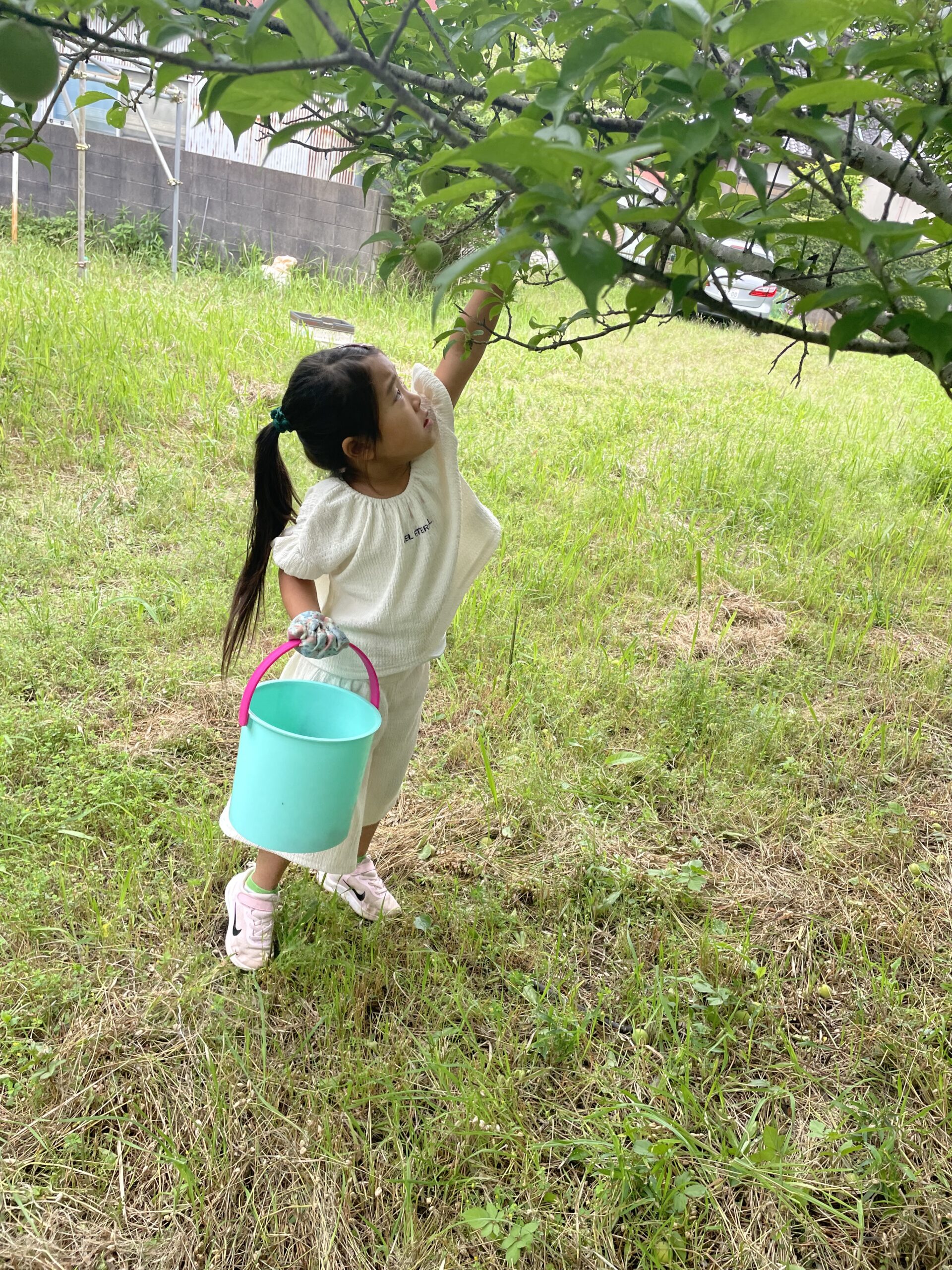 バケツを持って草地を歩く子ども