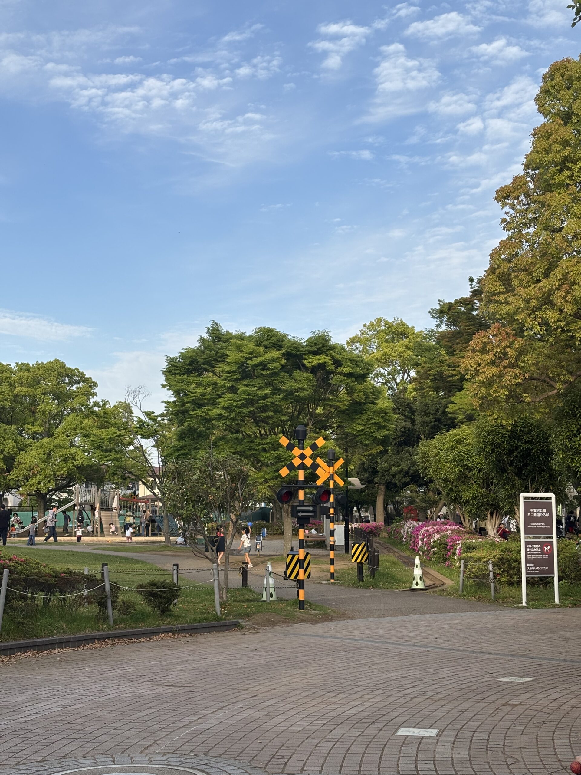 木立のある公園の風景