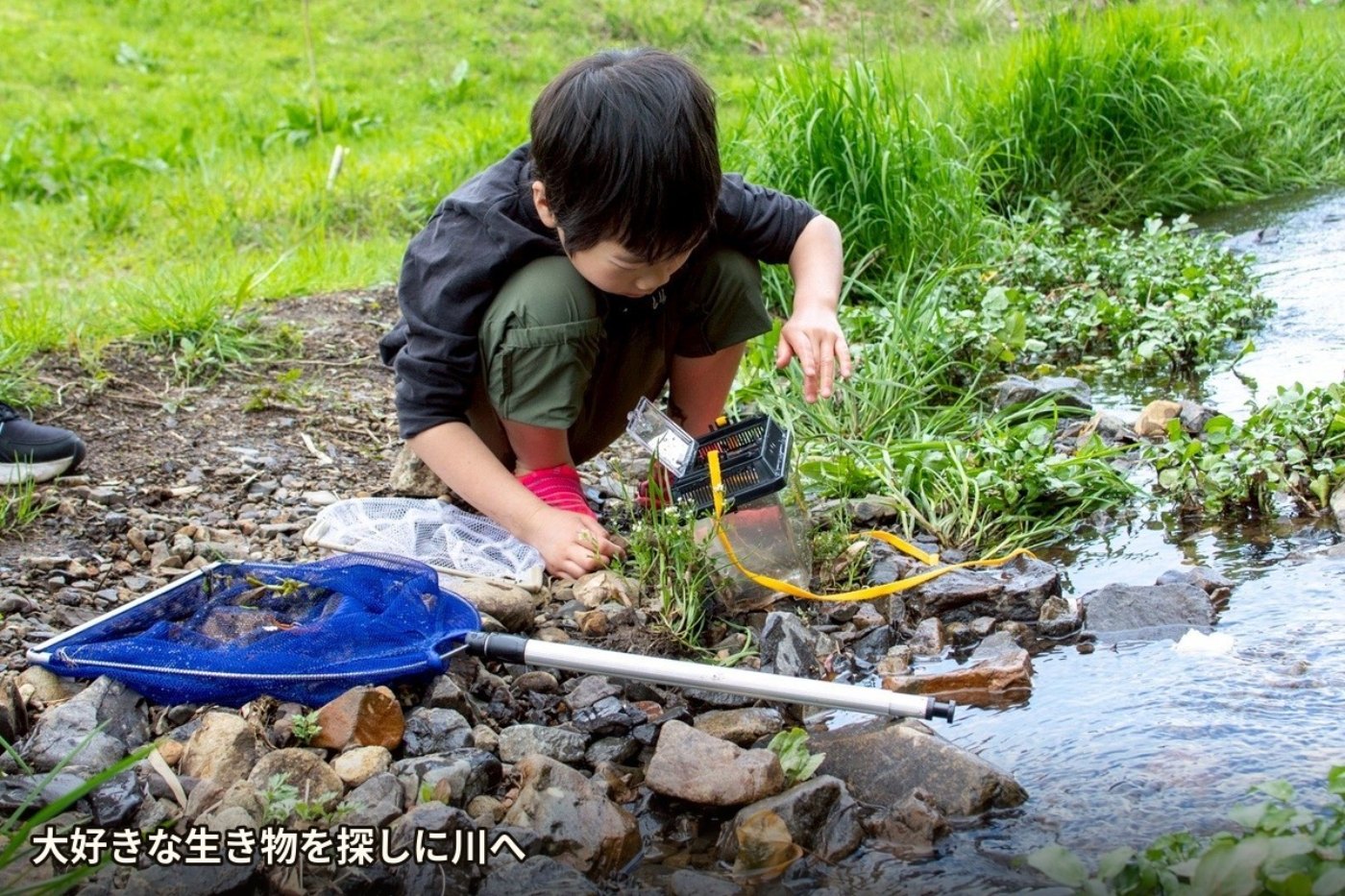 川で生き物を探す子ども