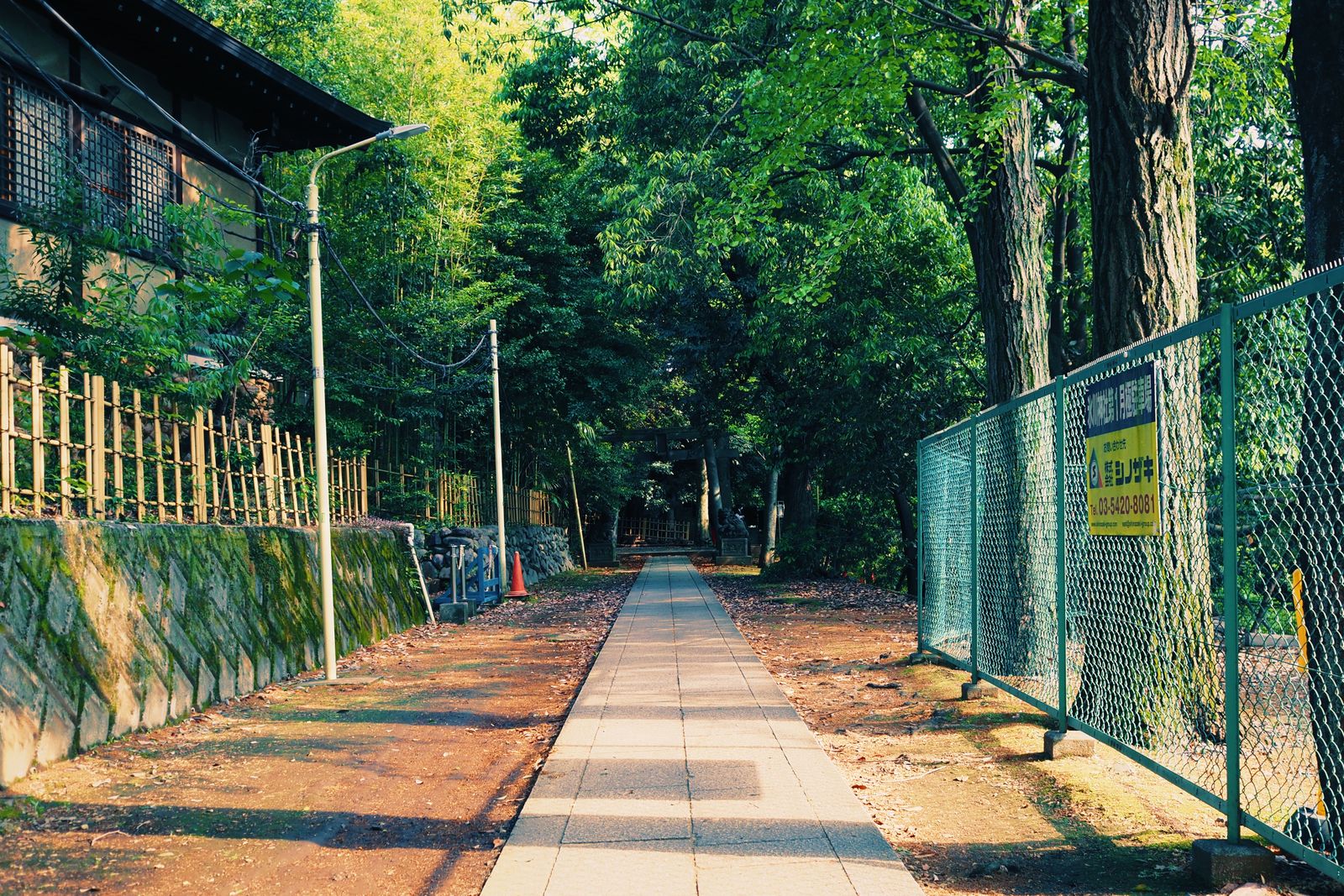 木々に囲まれた遊歩道