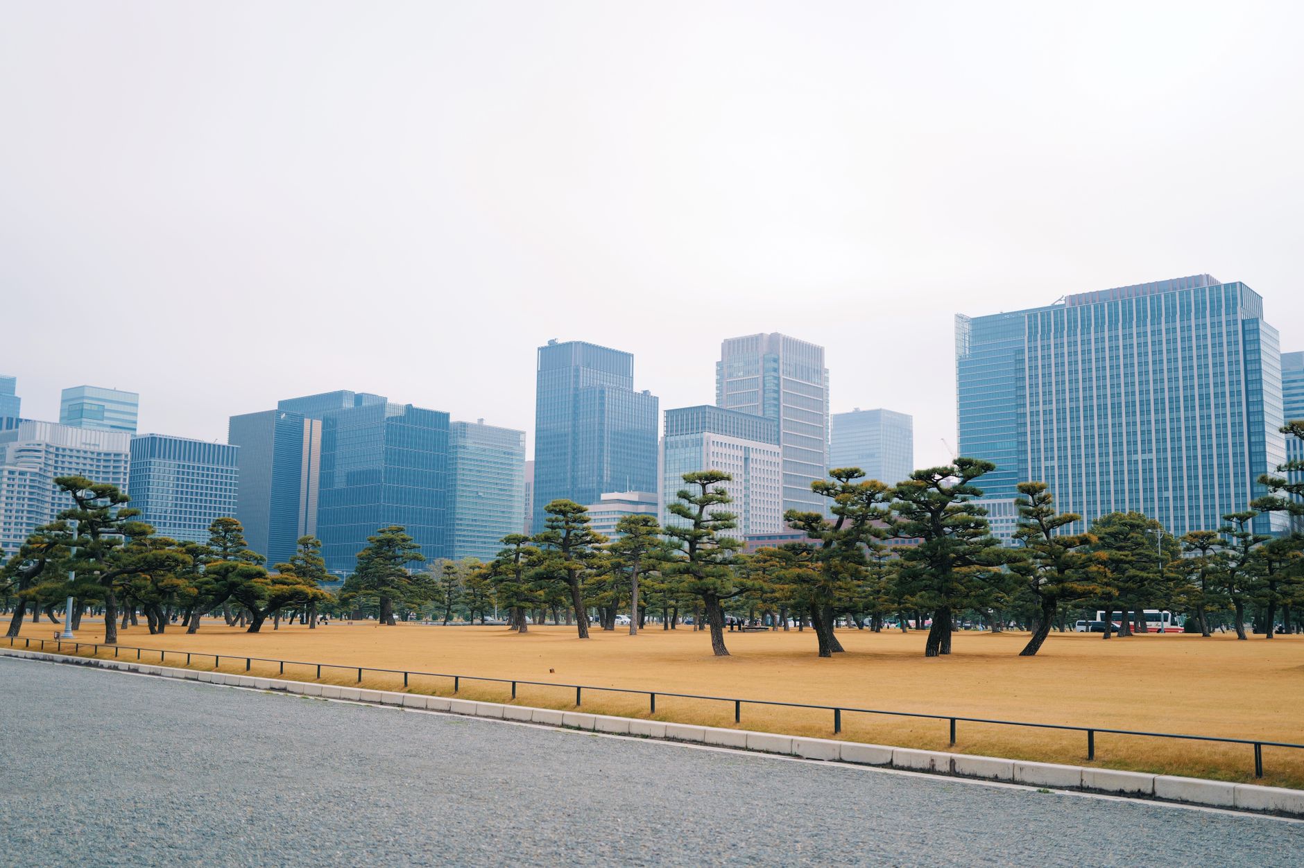 東京の街並み