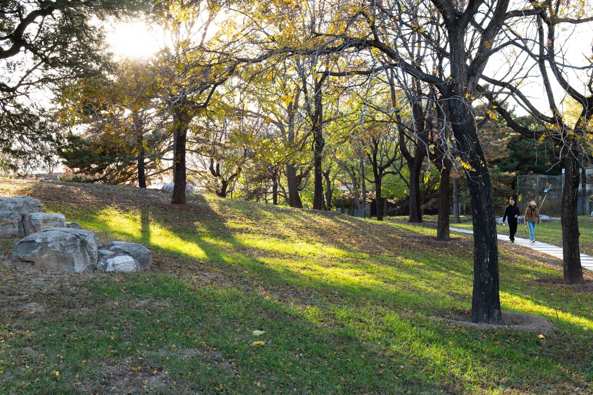 落ち葉の公園のベンチ
