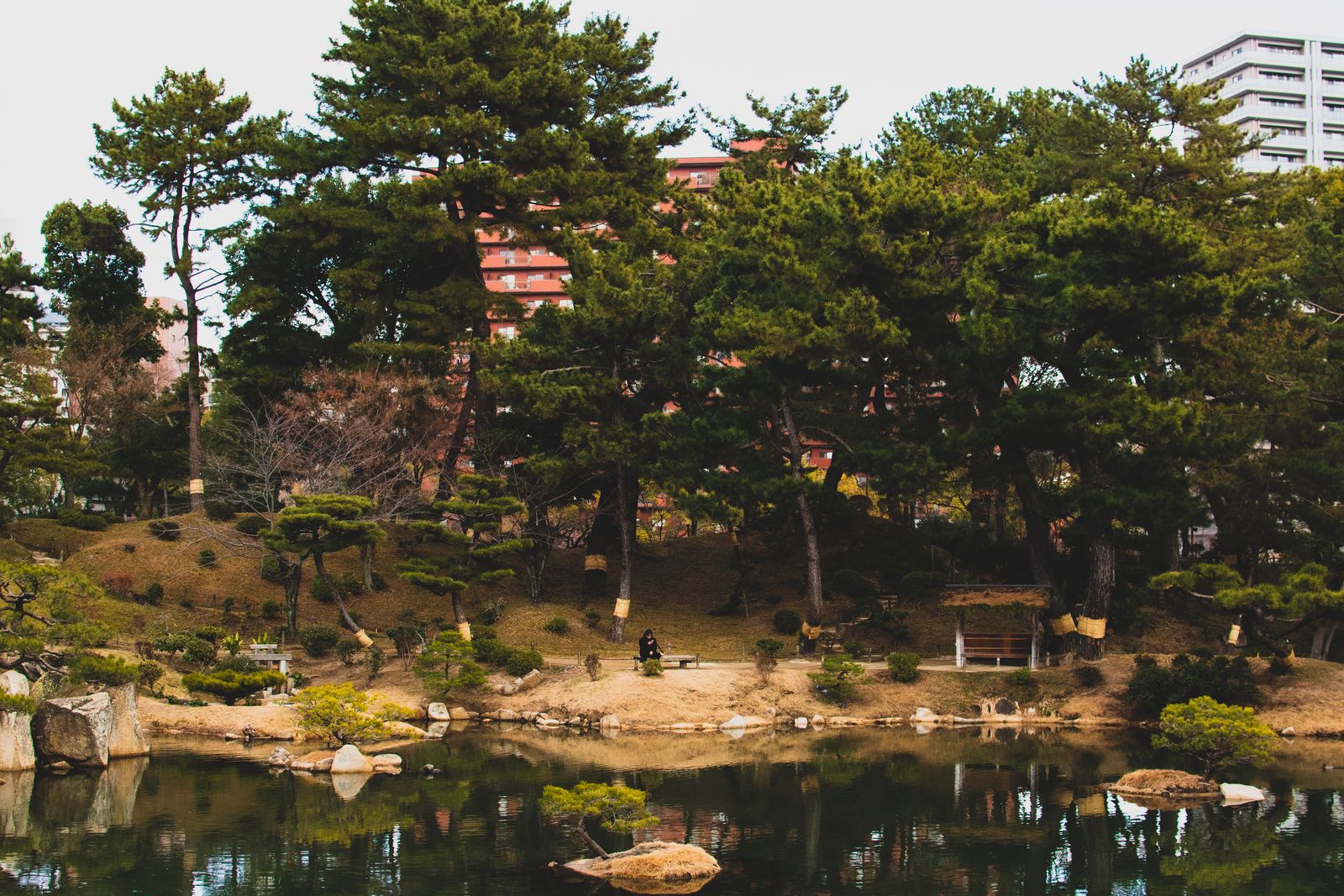 木立と池のある庭園