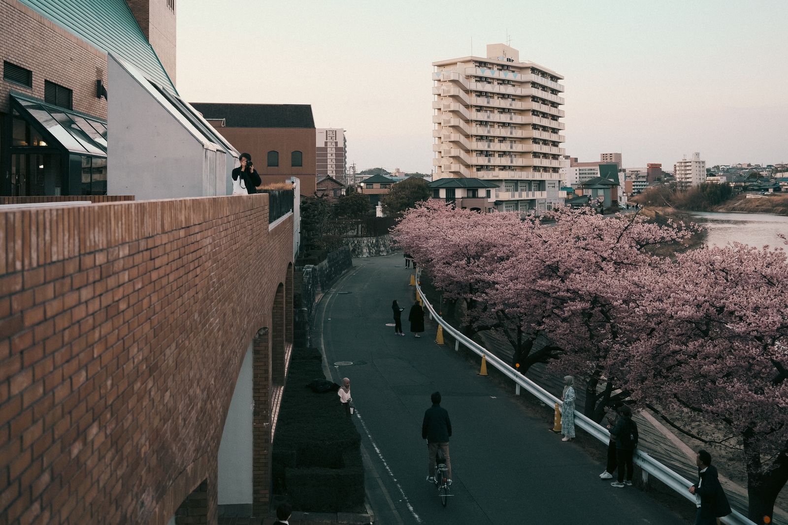 川沿いの遊歩道