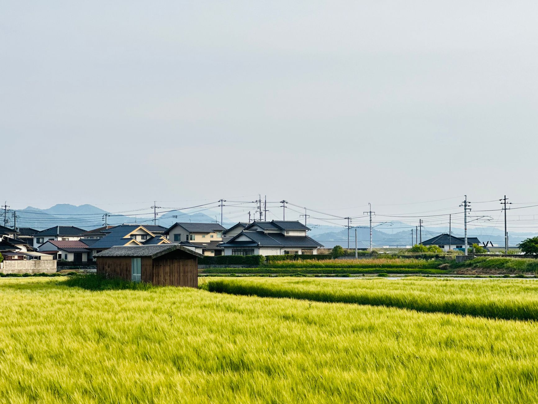 里山の田んぼと青空