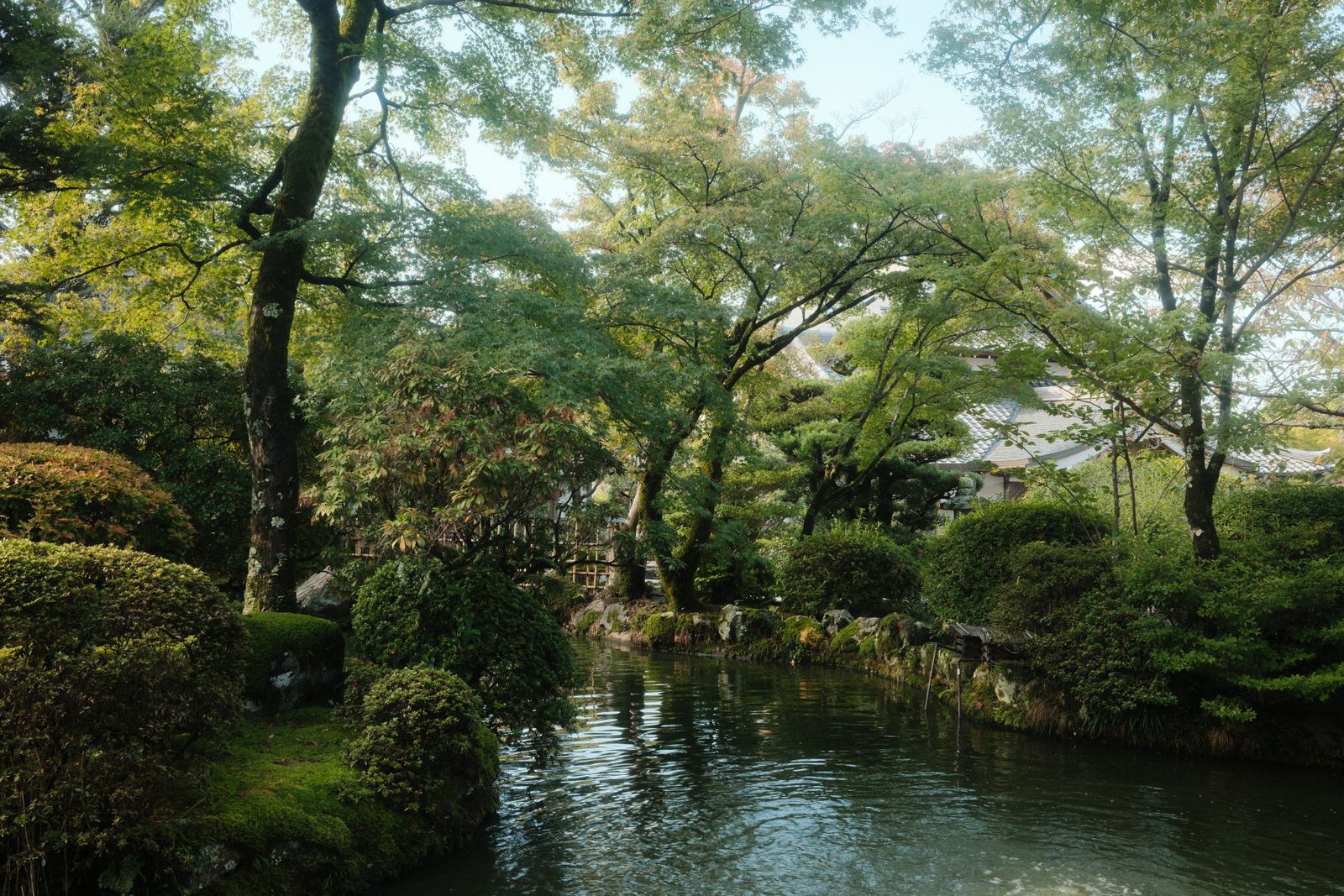 緑の多い公園