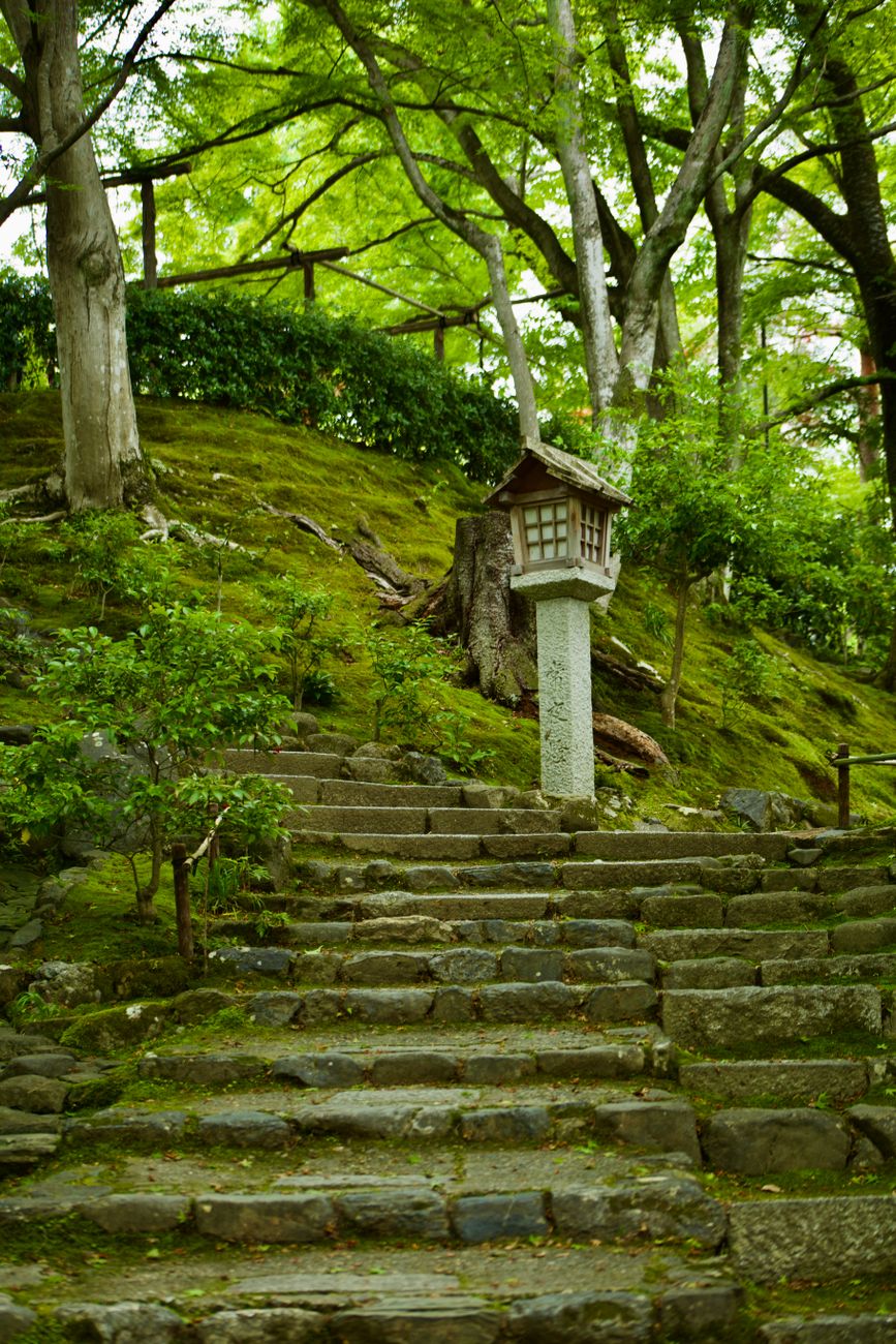 木々に囲まれた石段