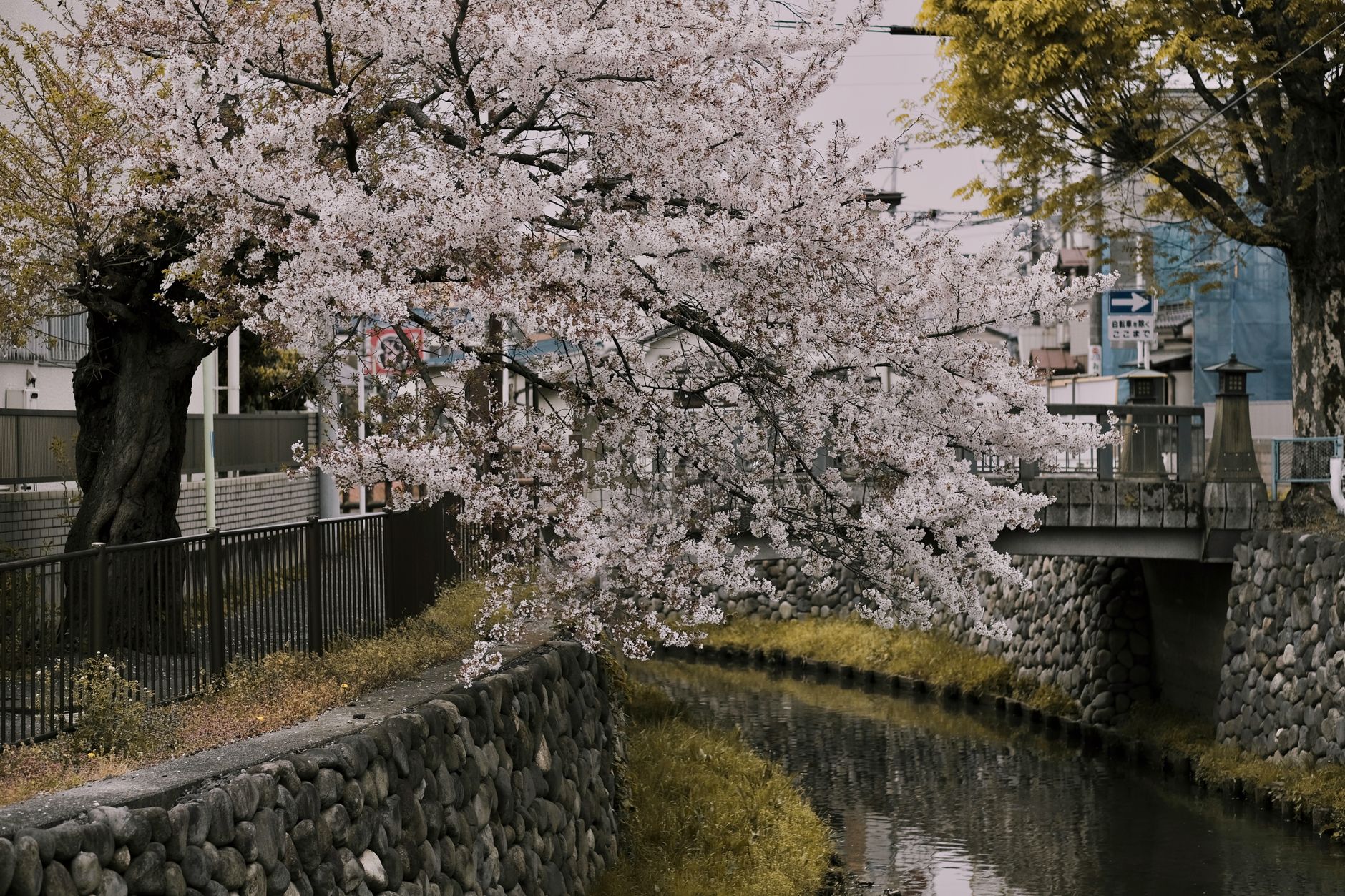 日本の街並み
