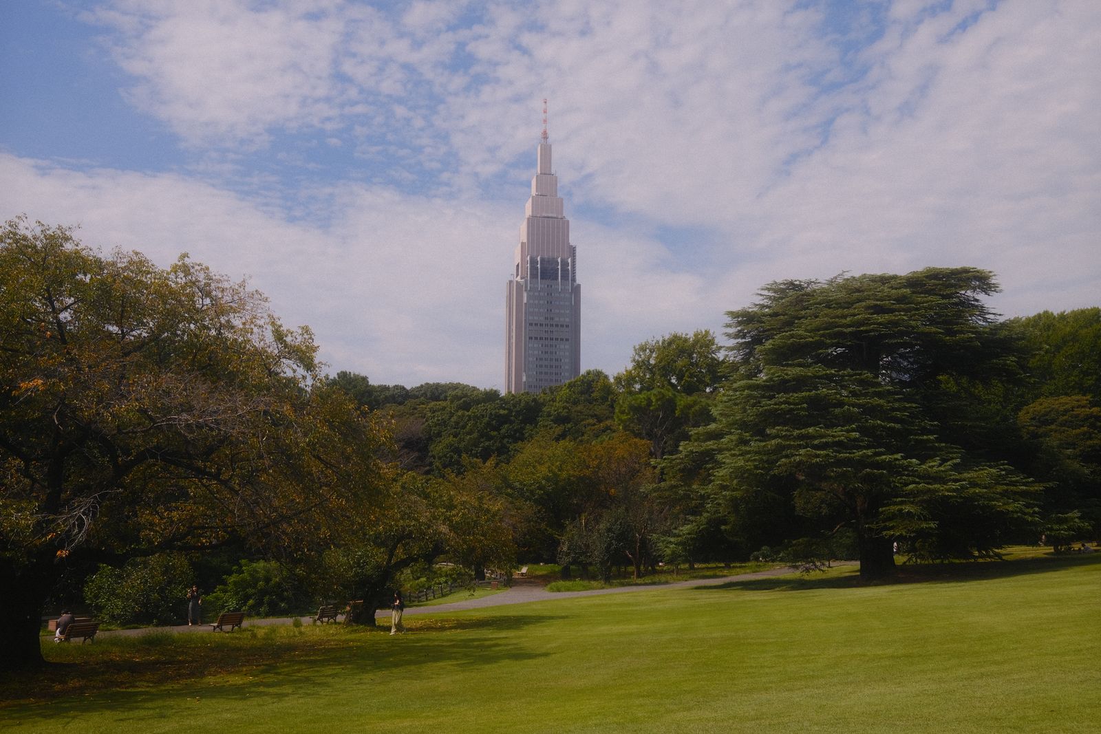 芝生の広がる公園