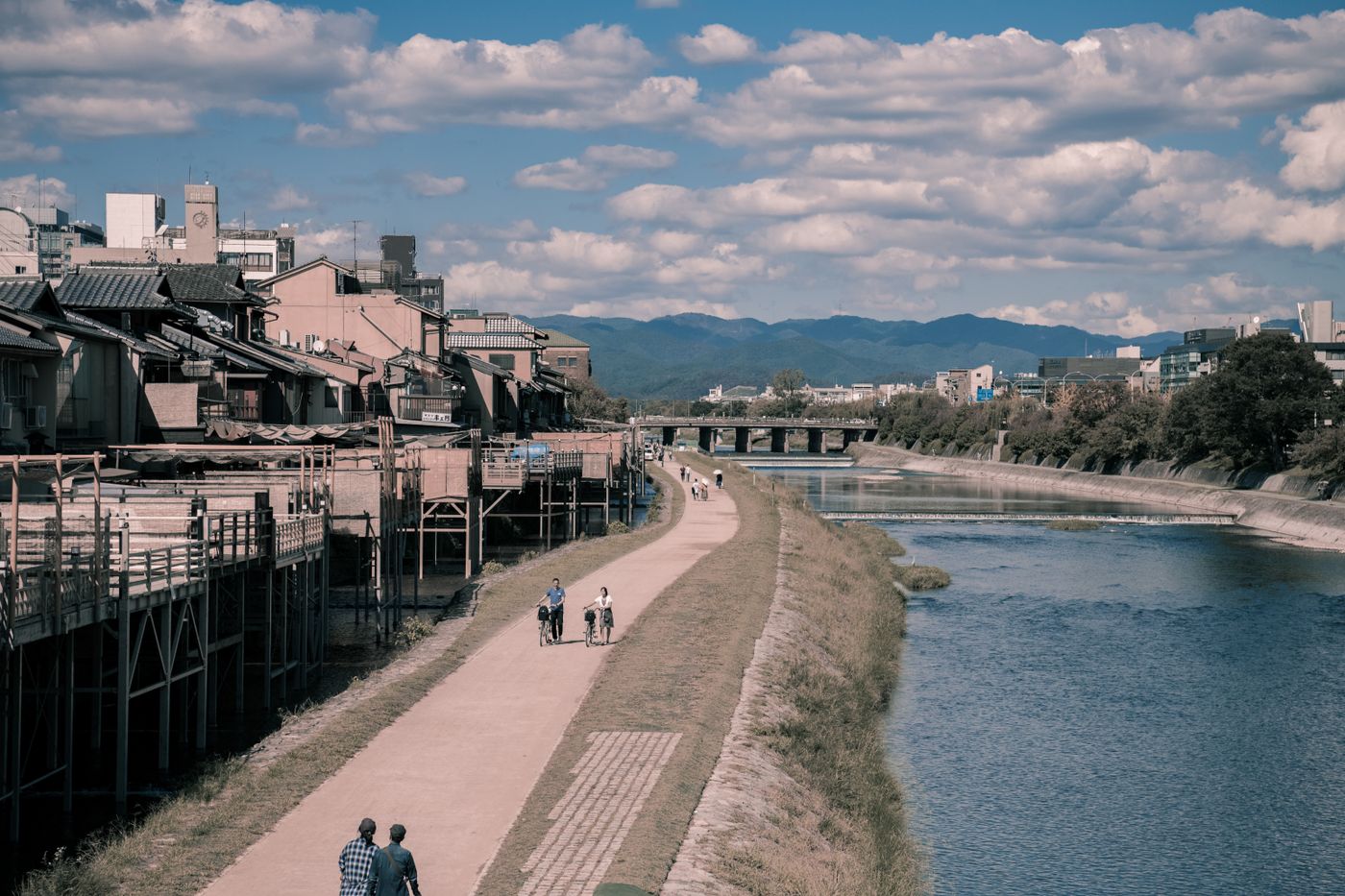 河川敷の遊歩道