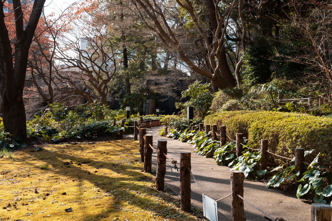 木々に囲まれた公園の小道