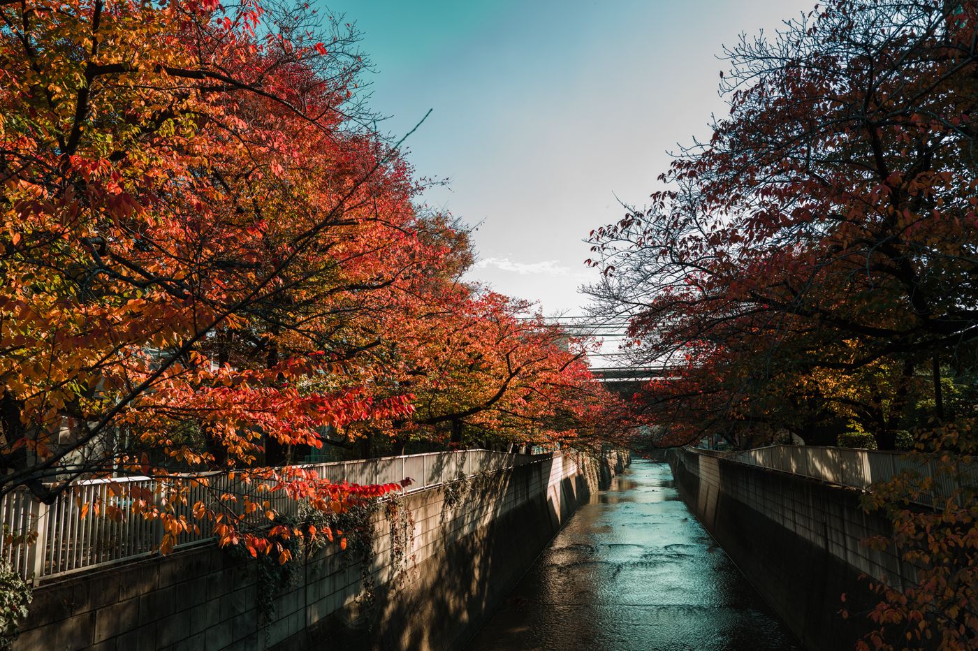 水辺の遊歩道