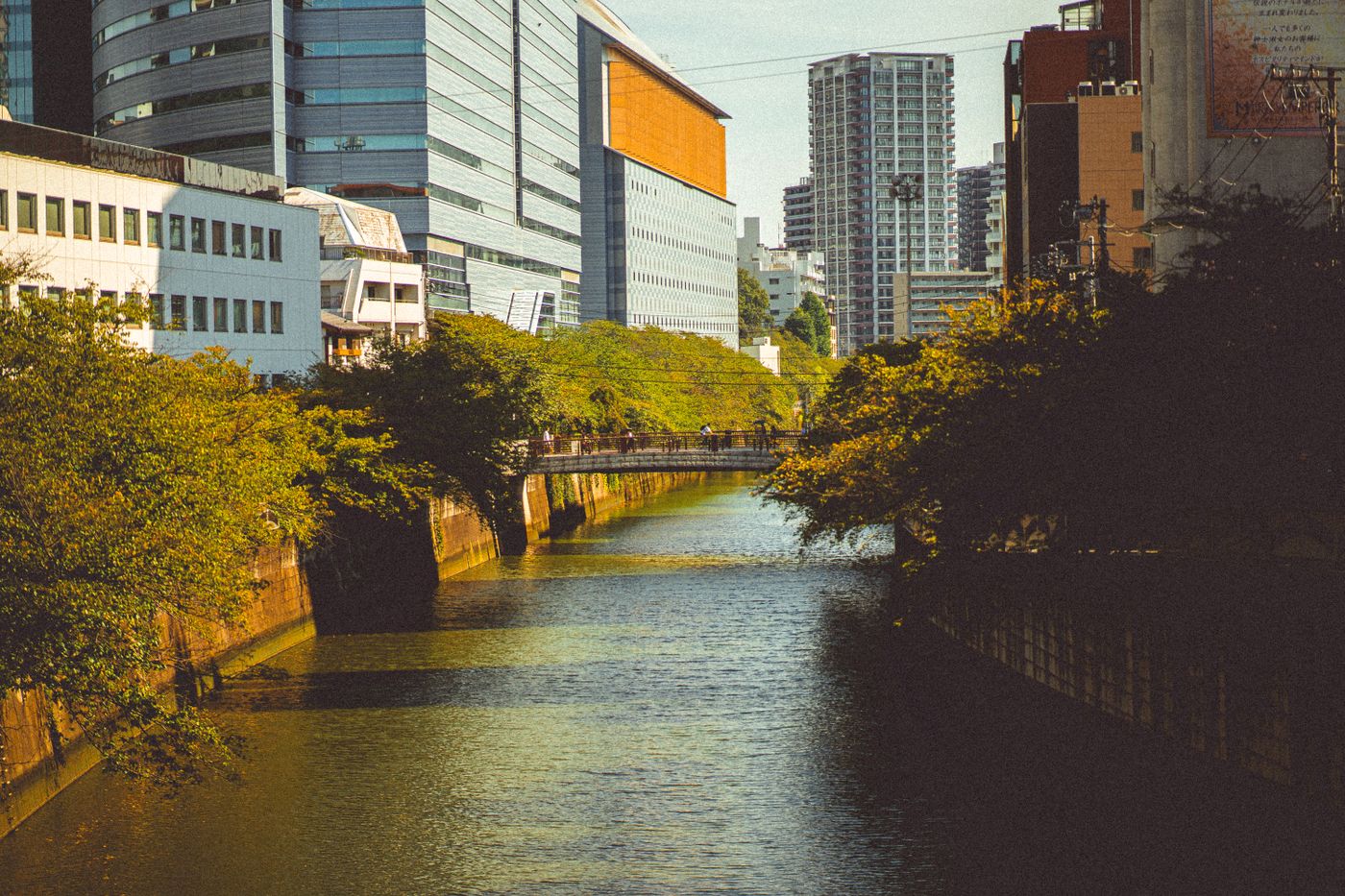 日本の川沿いの街並み