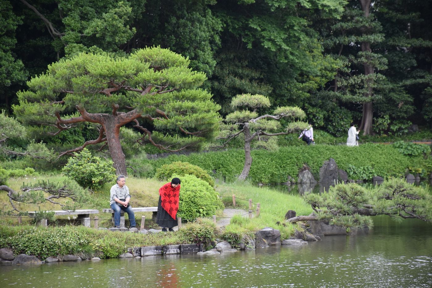 緑の多い公園