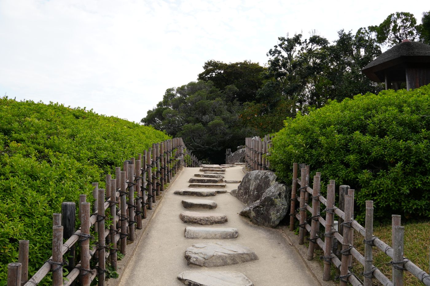 緑の多い公園の小道
