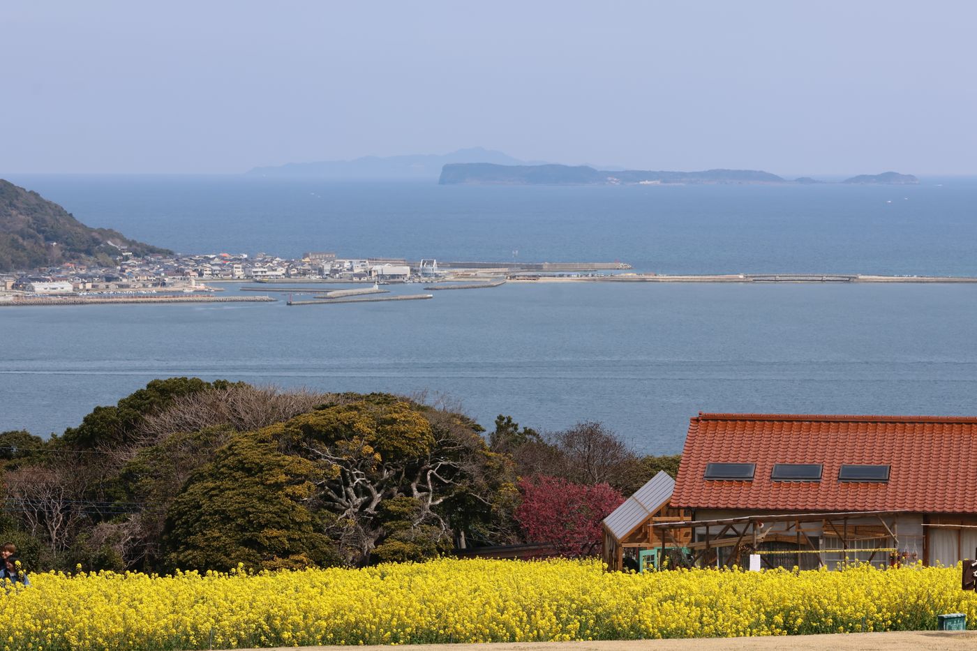海の見える街並み