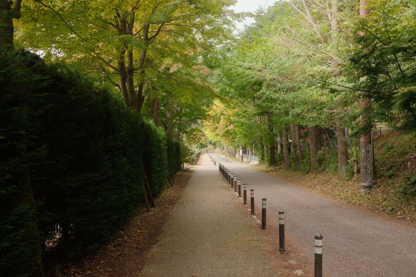 木漏れ日の公園