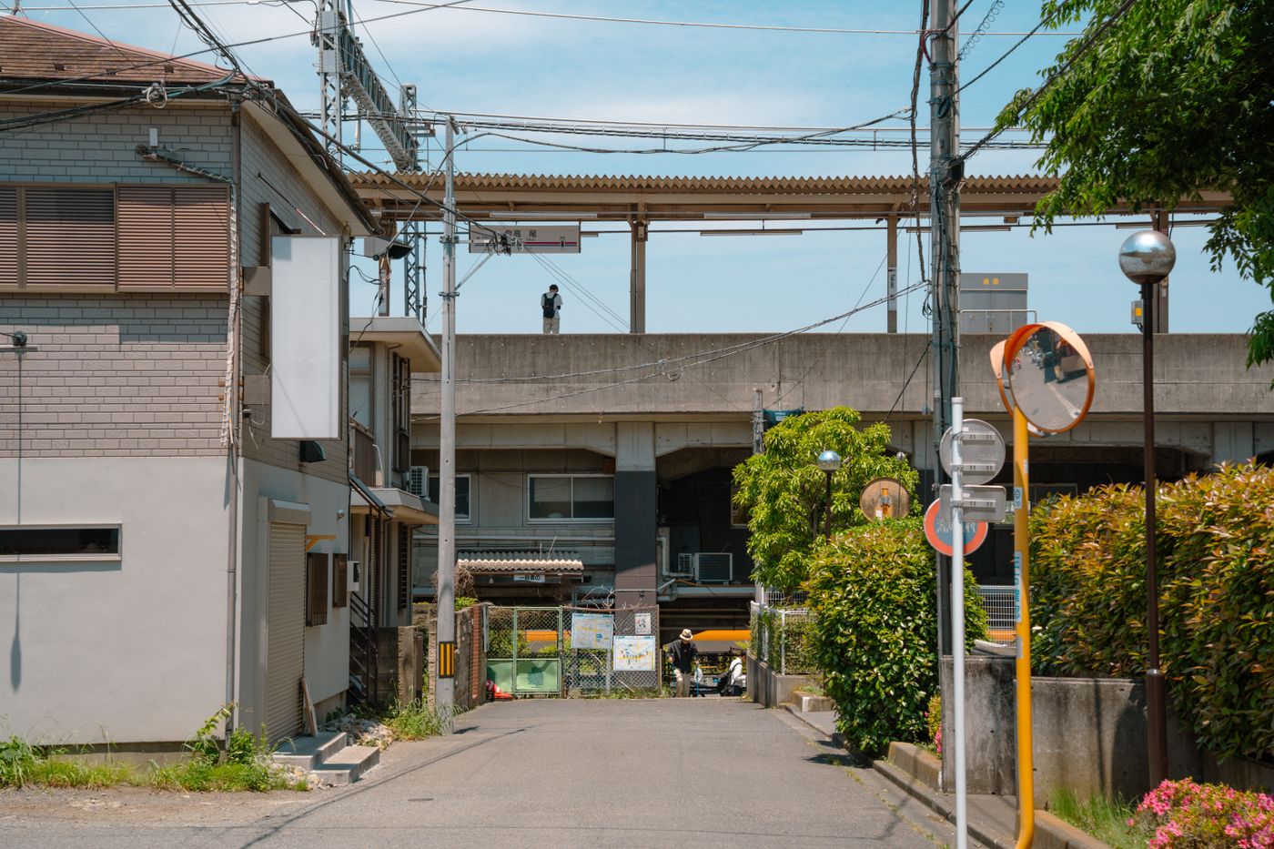 緑のある東京の街並み
