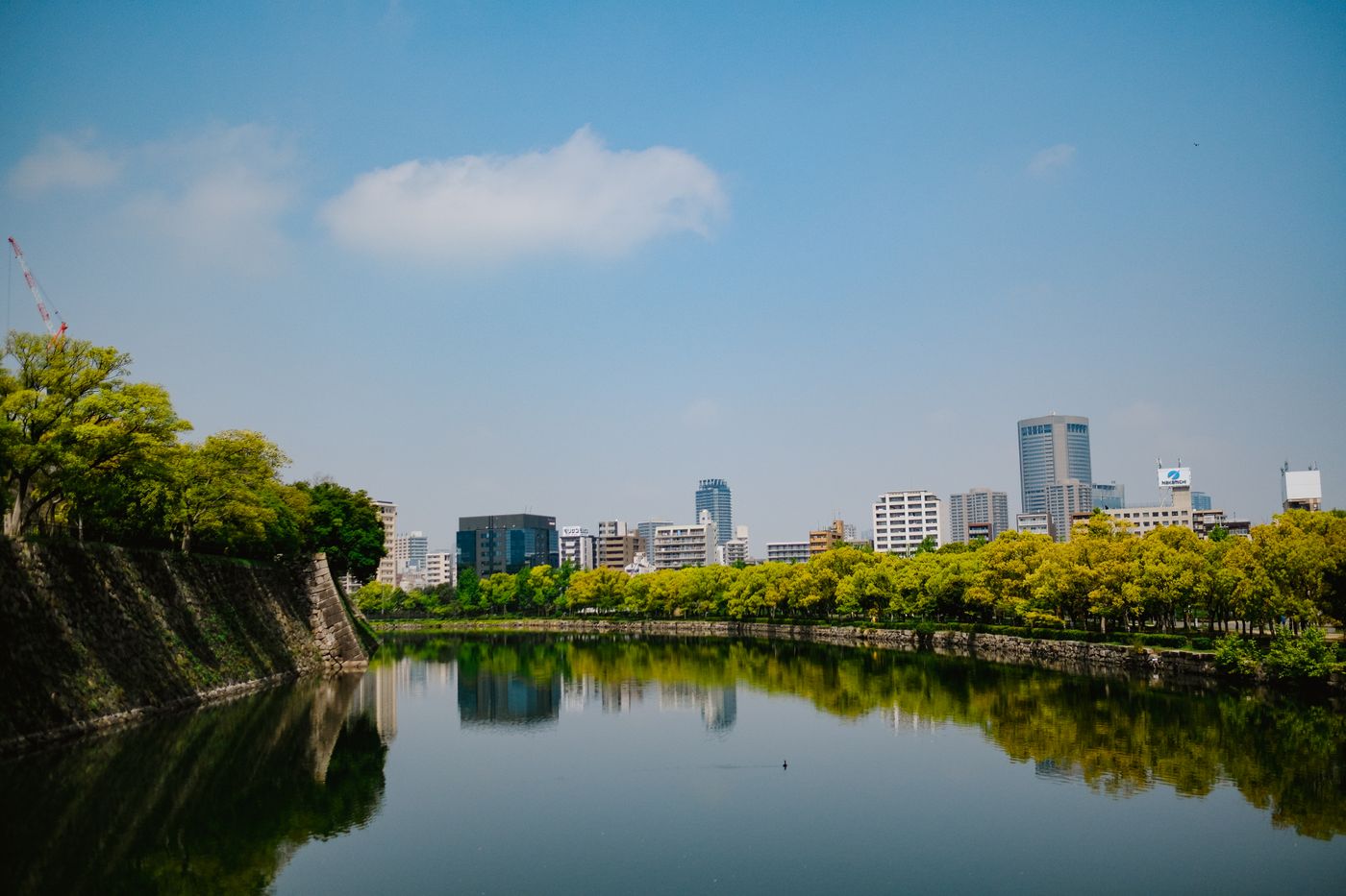 緑の多い公園