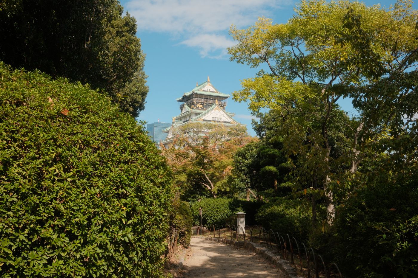 緑に囲まれた城と公園