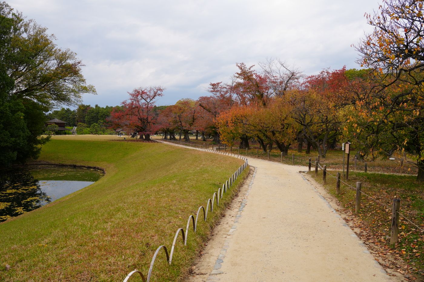 木々の間の散歩道