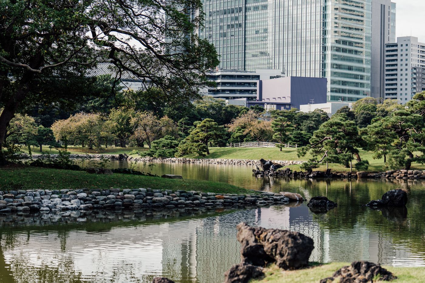 緑の多い公園