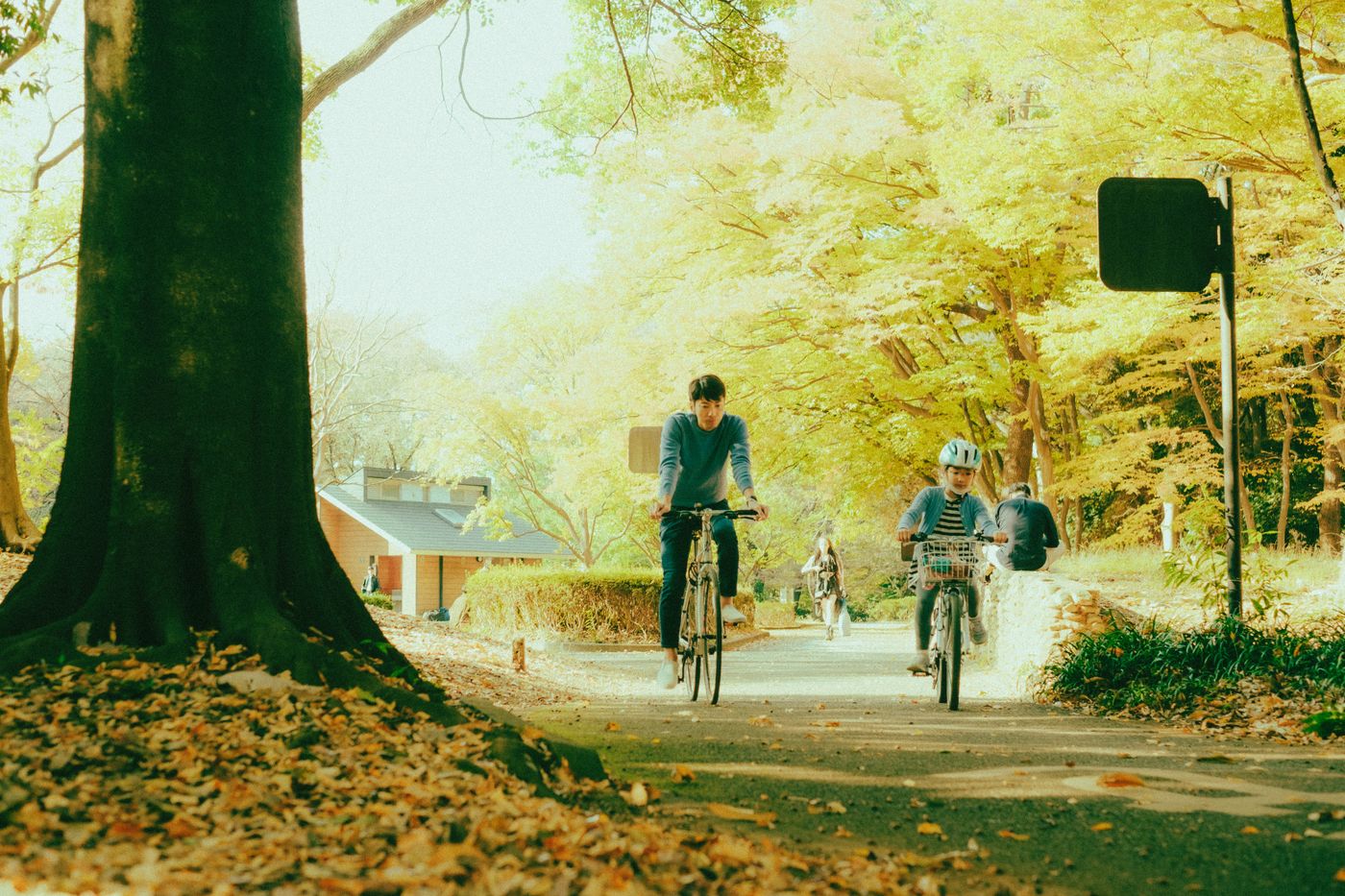 紅葉の公園の小道