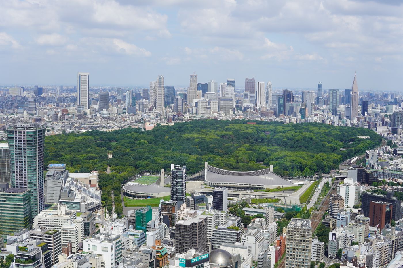 緑の多い公園