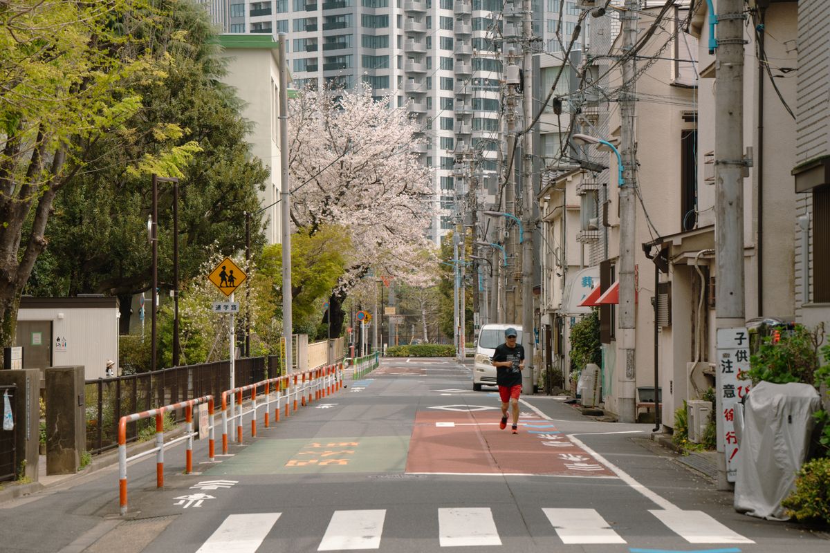 街路樹のある街の通り