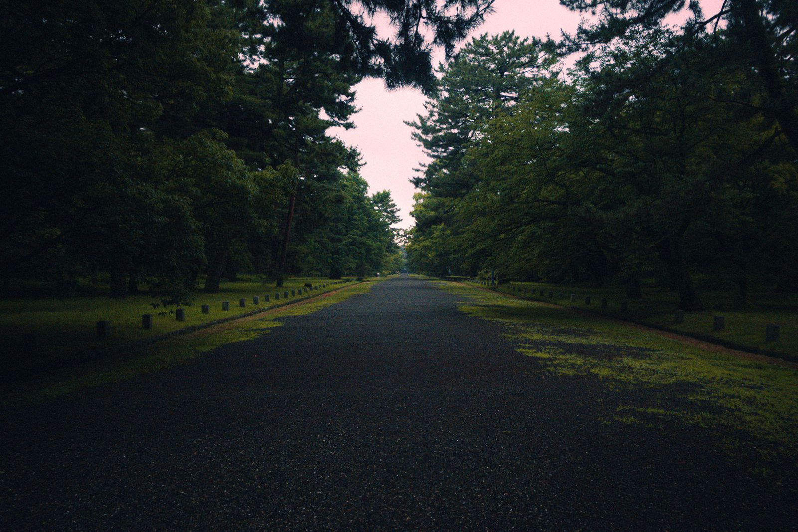 林のなかの道