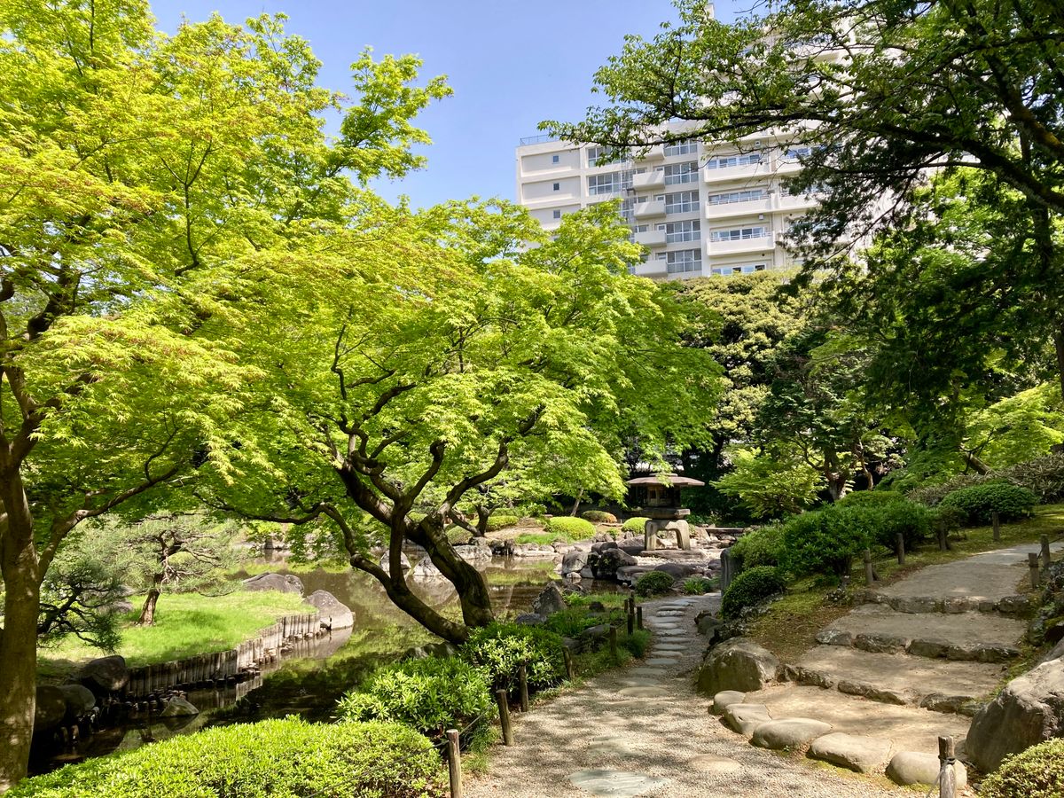緑の多い都市の公園（イメージ写真）
