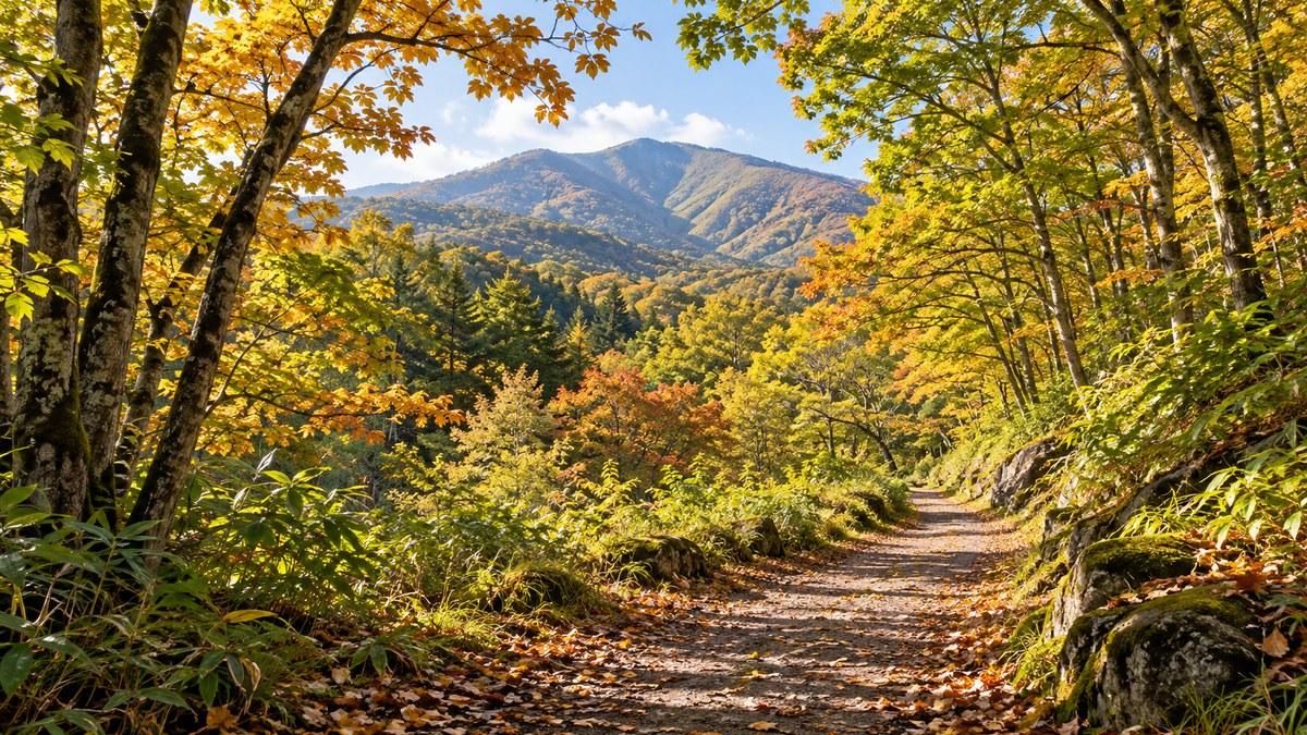 緑のある散策路
