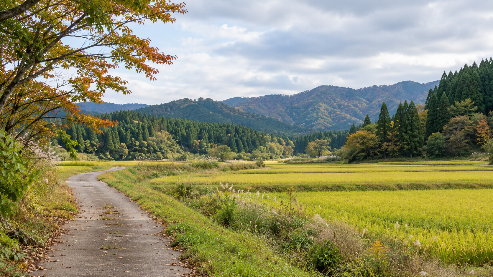 三種町の記事用イメージ。地域の自然や街並みを表現した生成画像で、実際の場所を撮影したものではありません