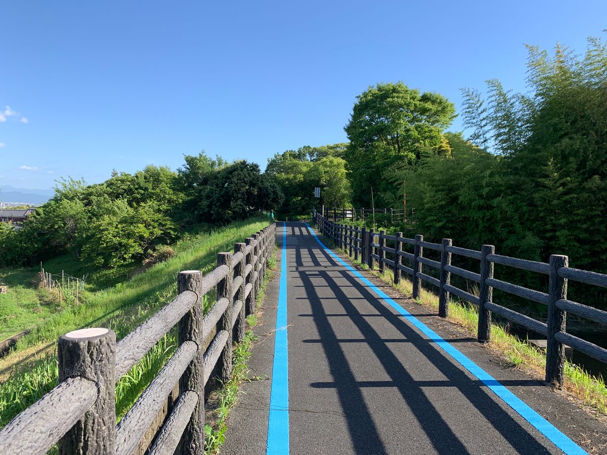 青空の下の散歩道（イメージ写真）