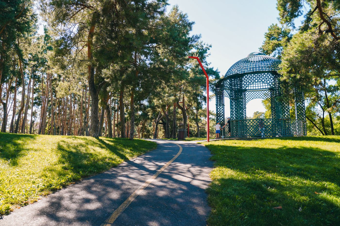 木々に囲まれた公園の小道（写真はイメージです）