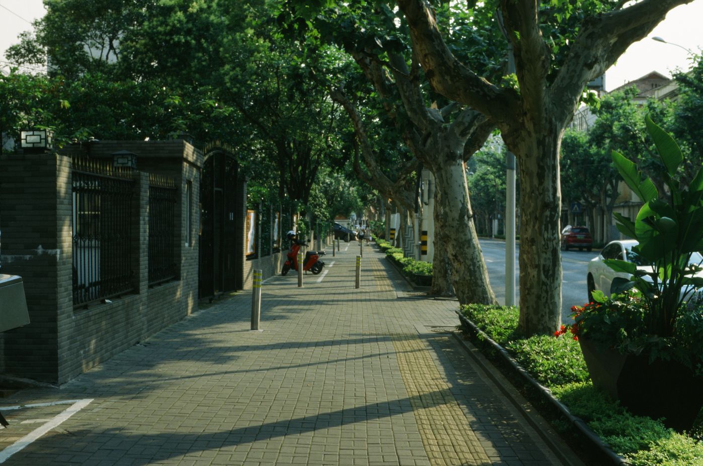 木陰のある石畳の道（写真はイメージです）