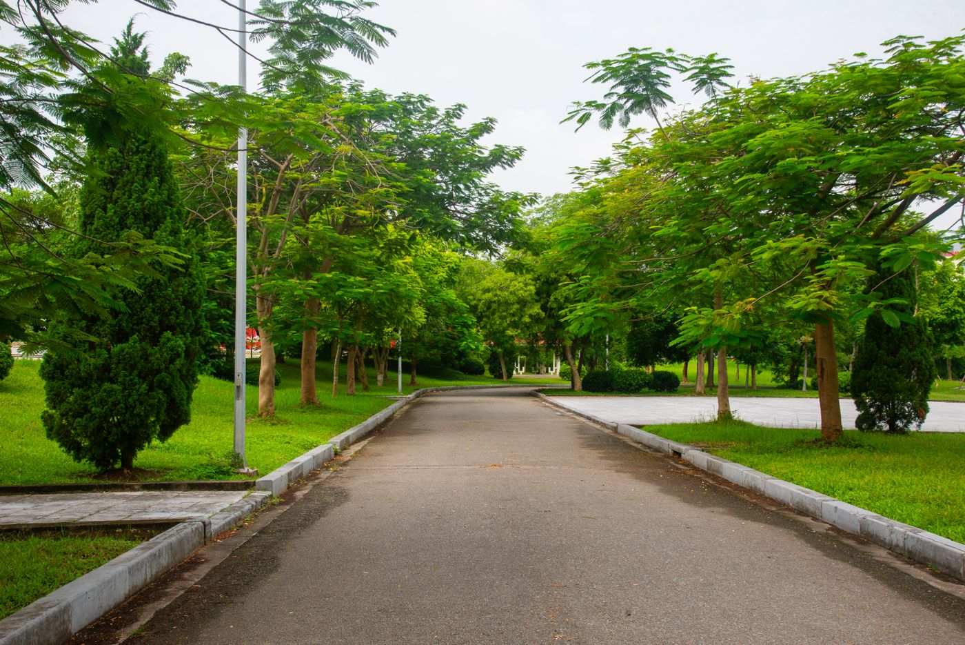 大田区の私立小学校選びのイメージ：緑の木々と公園の道（イメージ）