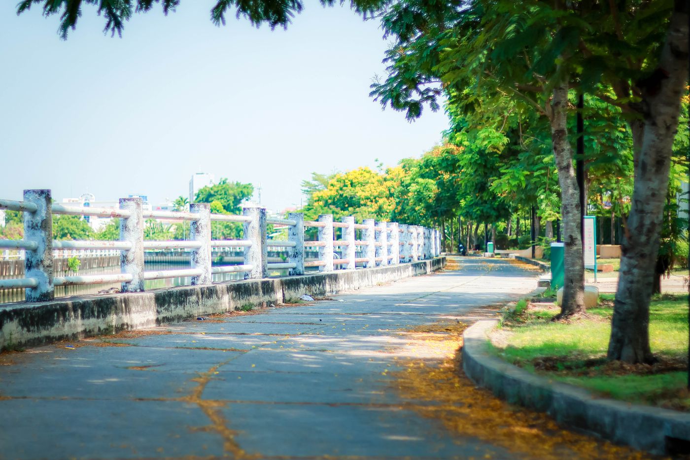青空の下の川沿いの道