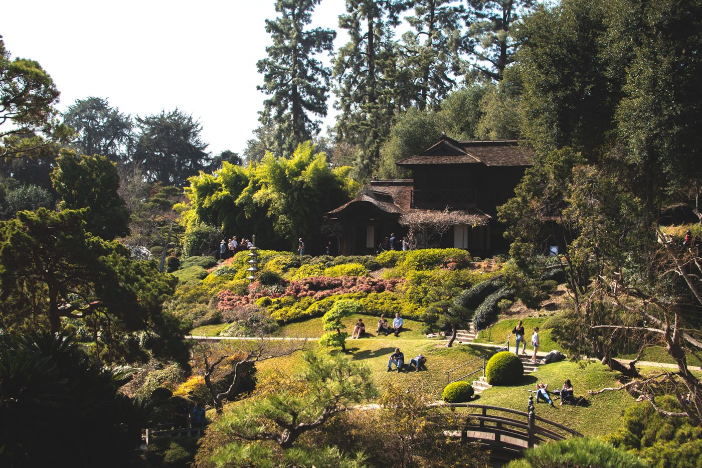 緑に囲まれた日本庭園