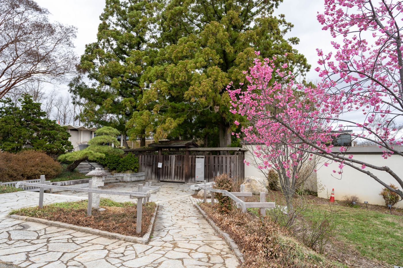 花が咲く庭園の石畳